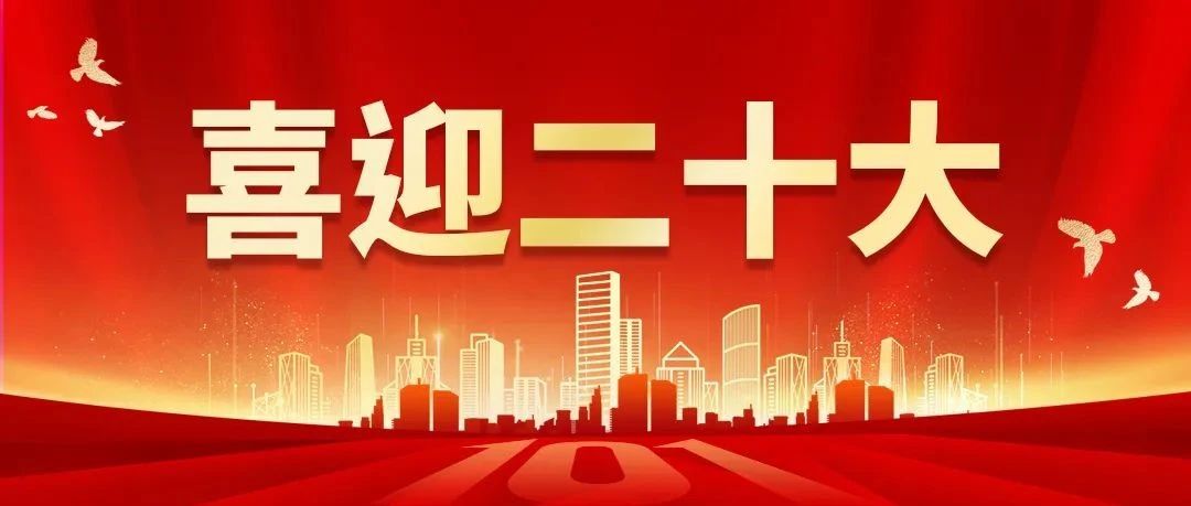 二十大报告金句